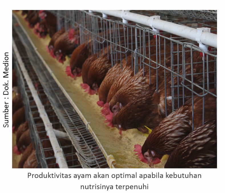 Mengenal Konsep Low Protein Diets 1 FFB 01 1