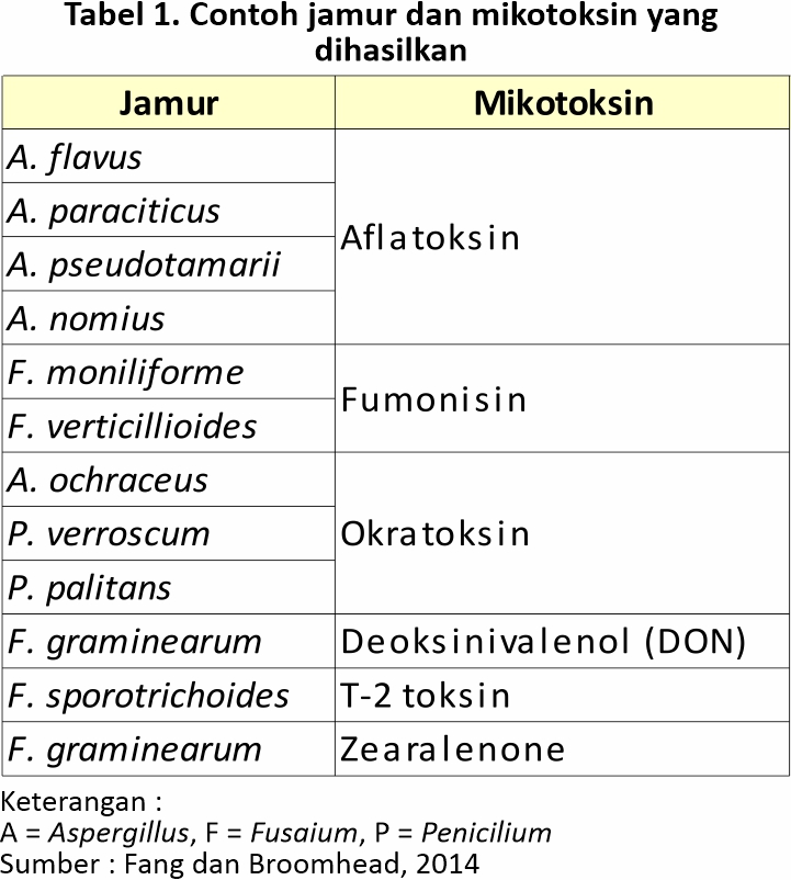 Mengenal Mikotoksin dalam Ransum 2 FFB 02 4