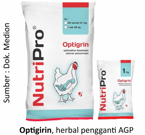 Mencari Alternatif Pengganti AGP 4 Optigrin