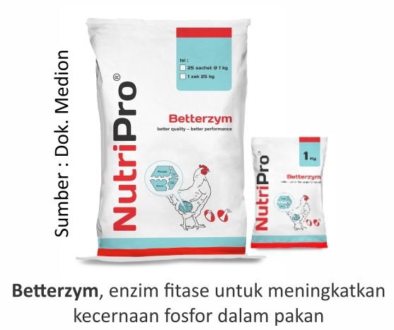Mencari Alternatif Pengganti AGP 5 Betterzym