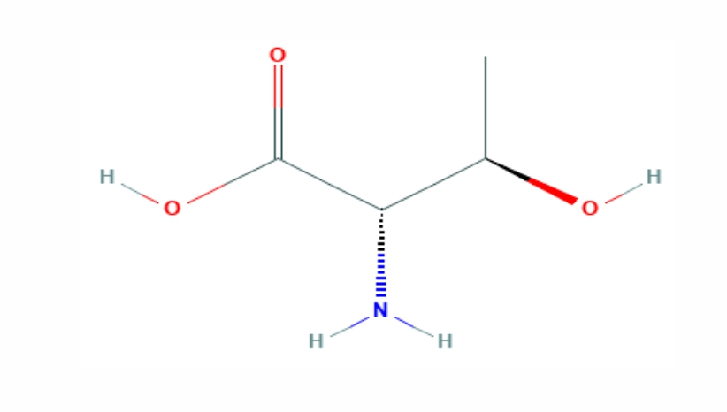Info Medion 25 asam amino treonin