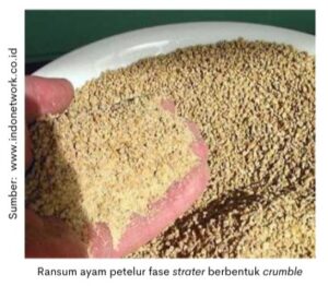 Formulasi Ransum Ayam Petelur untuk Produksi Optimal Foto & Idee Formulasi Ransum Ayam Petelur untuk Produksi Optimal