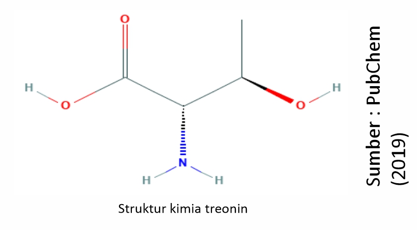 Mengenal Asam Amino Treonin 1 FFB01 1