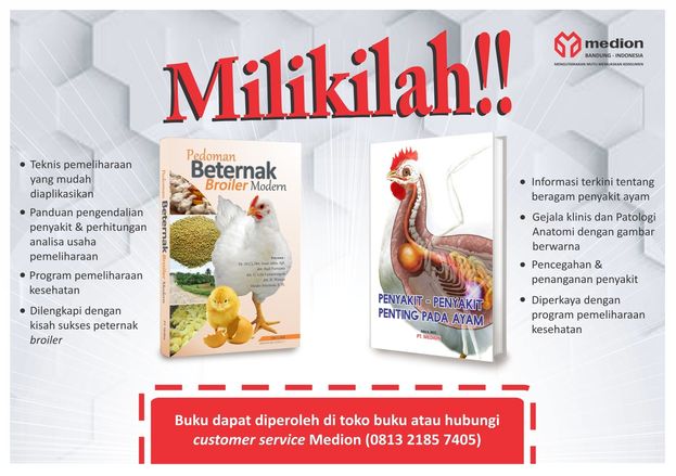 Dampak Serangan Penyakit IB di Ayam Petelur 6 IklanB