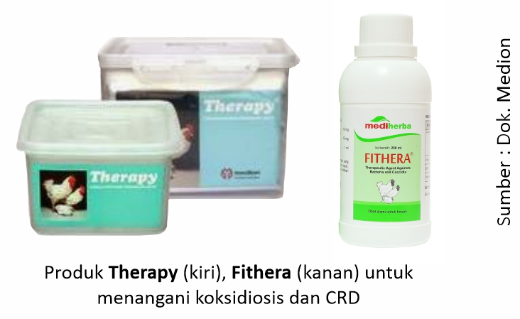 Pemberian Obat untuk Koksidiosis dan CRD 1 Produk Therapy dan Fithera