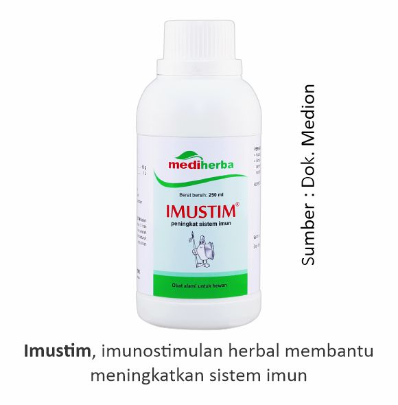 Terbentuknya Antibodi Dari Tantangan Lapang 1 produk imustim dari mediherba