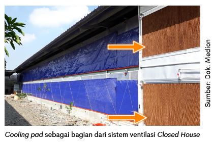 Penggunaan Cooling Pad di Breeding Farm 2 cooling pad