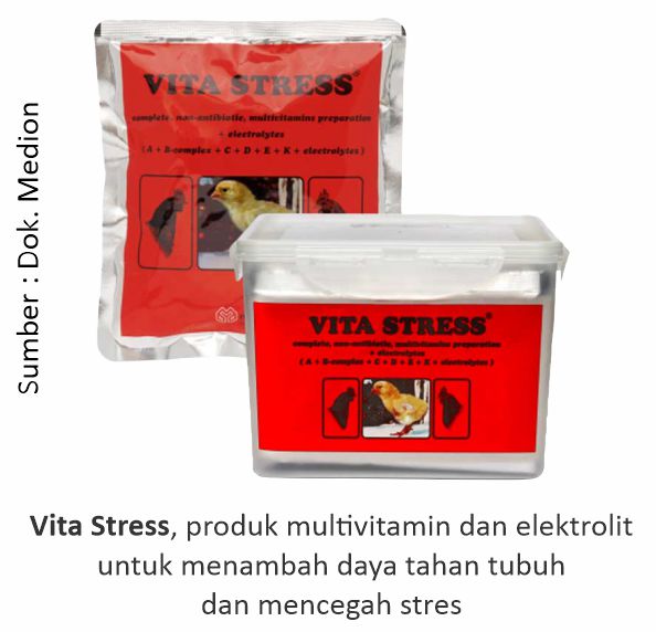 Heat Stress pada Musim Kemarau 2 Vita Stress