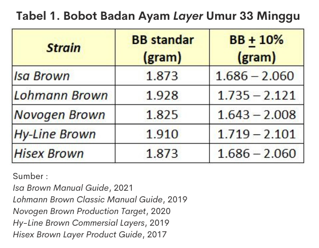 Produksi Telur Berhenti Mendadak dan Kelebihan Bobot Badan 2 tabel bobot badan ayam layer usia 33 minggu