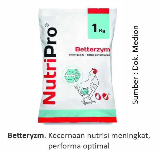 Mencapai Target Panen Ayam Broiler 1 Betterzym