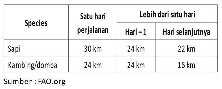 Menanggulangi Stress pada Sapi Potong 1 KT03 3
