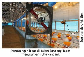 Pengaruh Elektrolit Terhadap Bobot Ayam 1 KTElektrolit01 1