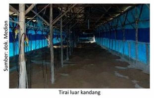 Manajemen Buka-Tutup Tirai Kandang 2 KTTiraiKandang02