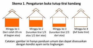 Manajemen Buka-Tutup Tirai Kandang 3 KTTiraiKandang03