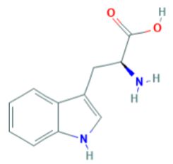 Mengenal Triptofan