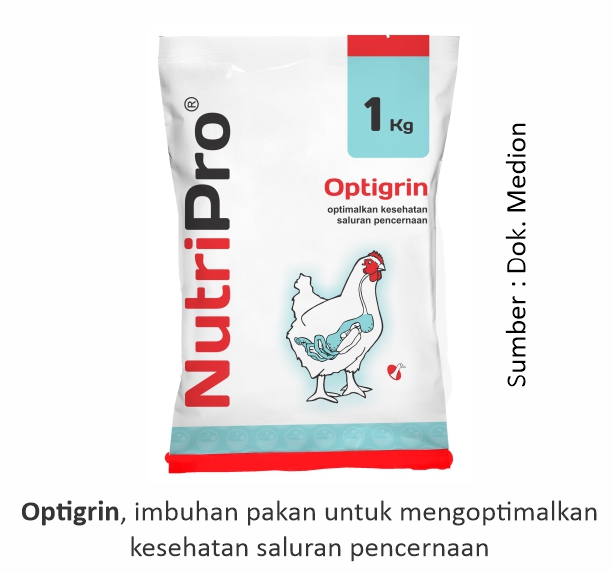 Meningkatkan Performa Saluran Pencernaan dengan Herbal 2 Optigrin