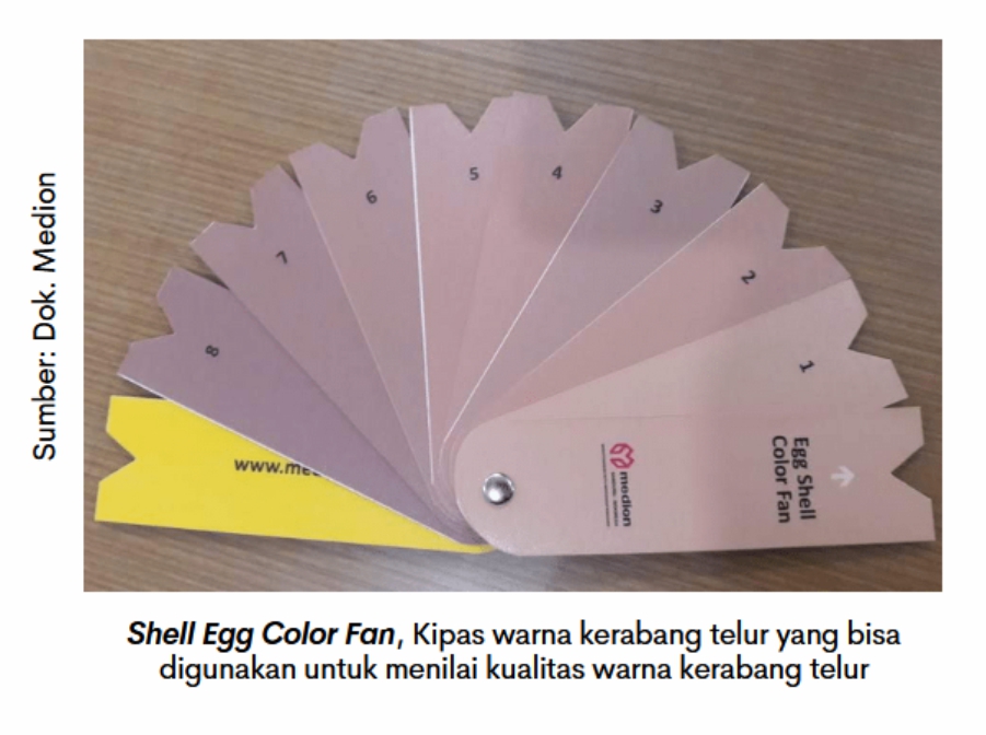 Optimalkan Kualitas Kerabang Telur 1 PER 01