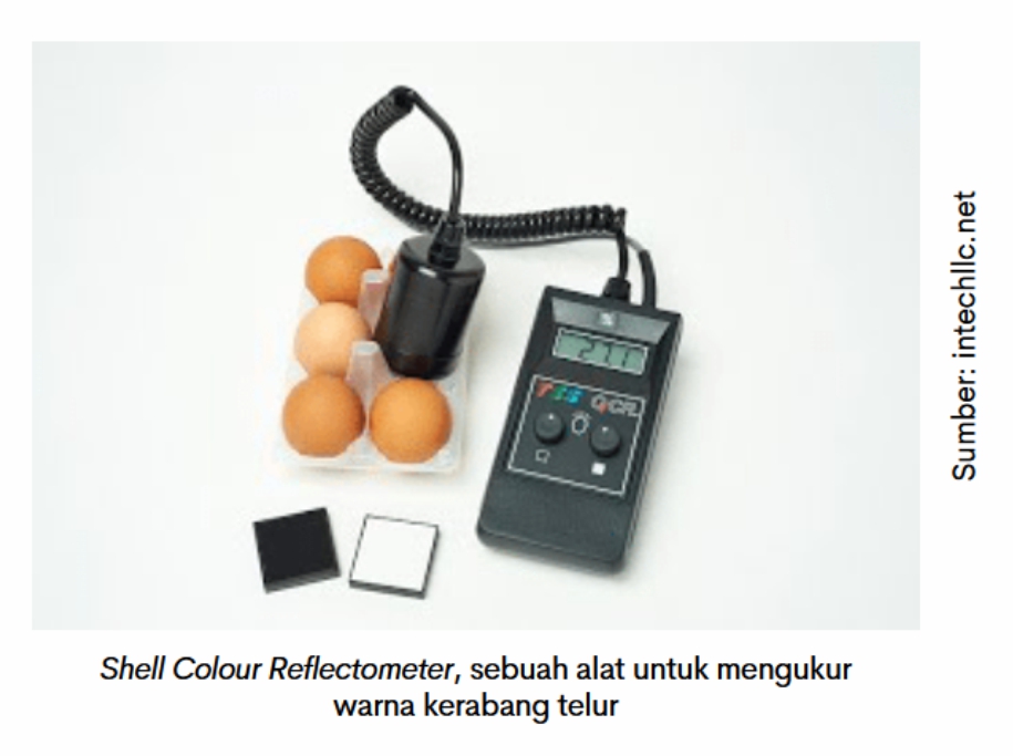 Optimalkan Kualitas Kerabang Telur 2 PER 02