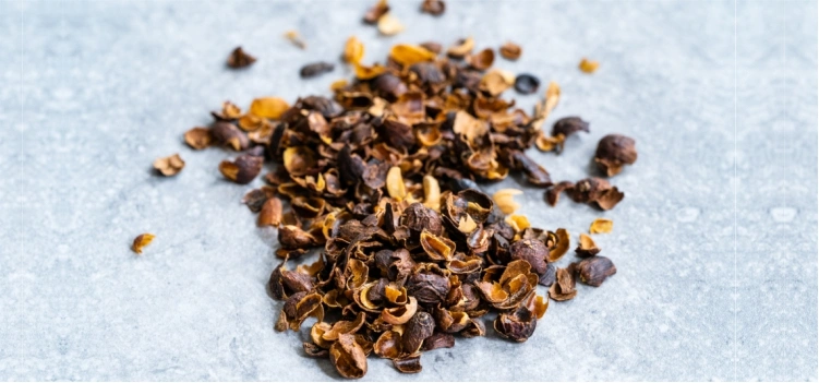Pakan Ruminansia dalam Mengoptimalkan Produktivitas dan Keseimbangan Pencernaan 2 Pakan Ruminansia dalam Mengoptimalkan Produktivitas dan Keseimbangan Pencernaan