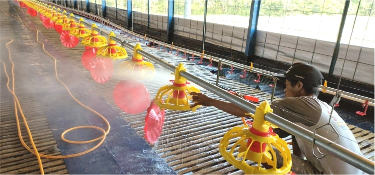 Program Disinfeksi dan Pengulangannya