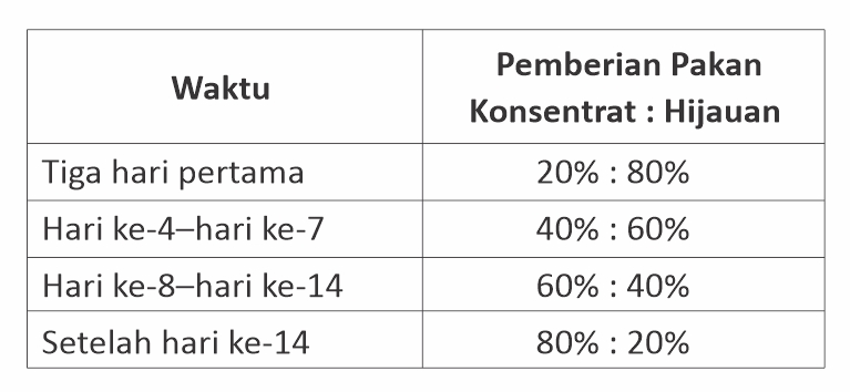 Mengatasi Gangguan Pencernaan pada Sapi 2 Tabel 1 Waktu dan pemberian pakan