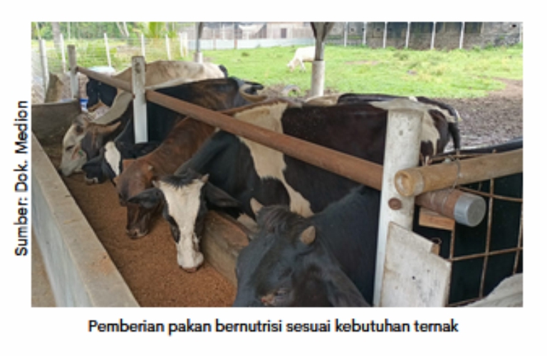 Mencegah dan Menangani Asidosis pada Sapi 2 RK 02