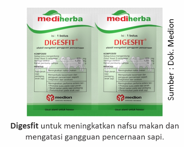 Mengatasi Gangguan Pencernaan pada Sapi 3 Digesfit