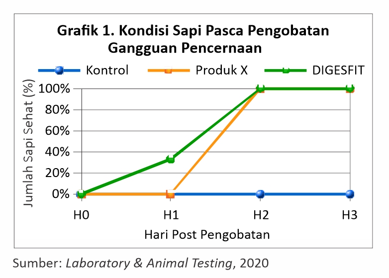 Mengatasi Gangguan Pencernaan pada Sapi 4 Grafik 1 Kondisi Sapi Pasca Pengobatan