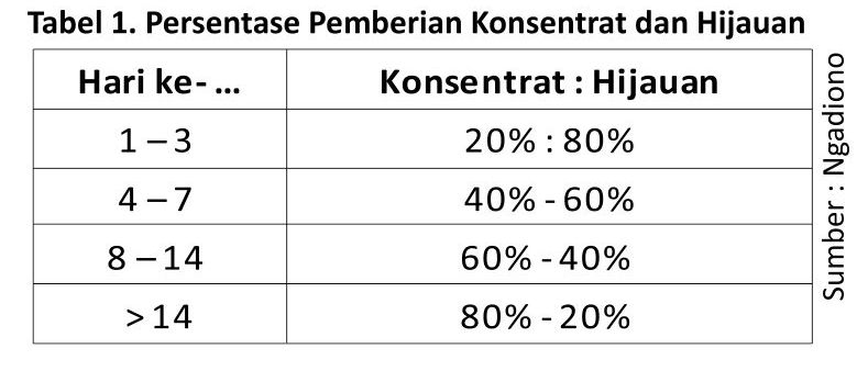 Perhatian Pada Sapi yang Baru Tiba di Peternakan 4 RK04 1 4