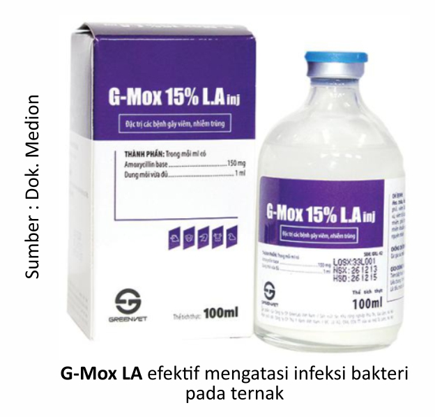 Mengatasi Diare pada Ternak 4 RK04 2 1