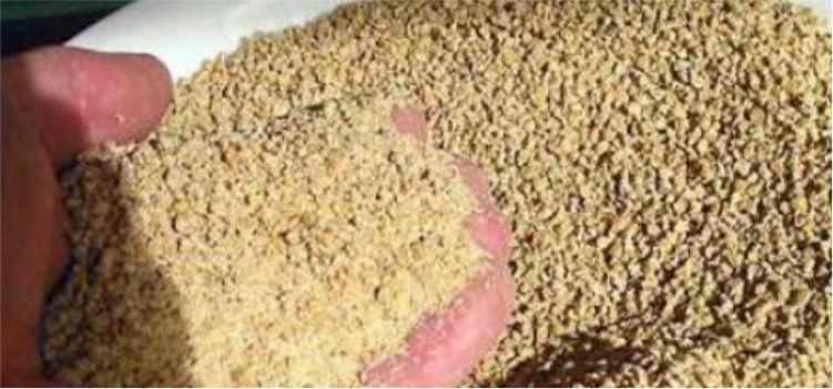 Formulasi Ransum Ayam Petelur