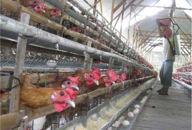 Info Medion 27 Reaksi Post Vaksinasi Apakah Wajar