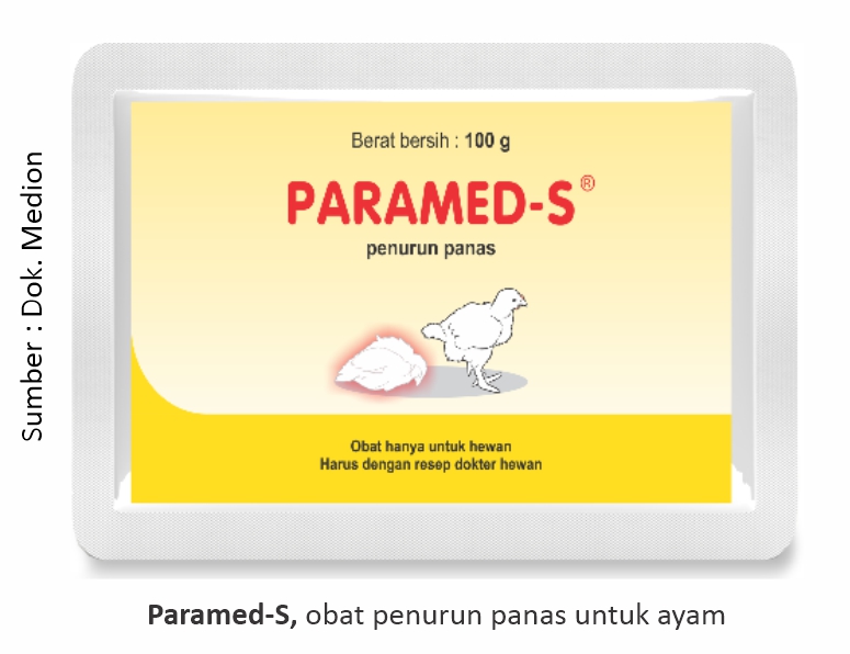 Terapi Suportif pada Kasus Gumboro 2 Paramed-S