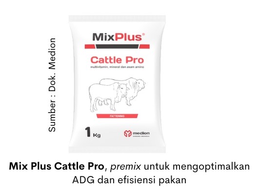 Pakan Ruminansia dalam Mengoptimalkan Produktivitas dan Keseimbangan Pencernaan 4 Mix Plus Cattle Pro