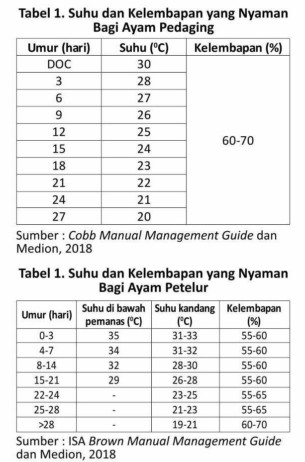 Agar Brooding Nyaman di Musim Hujan 2 SUP01