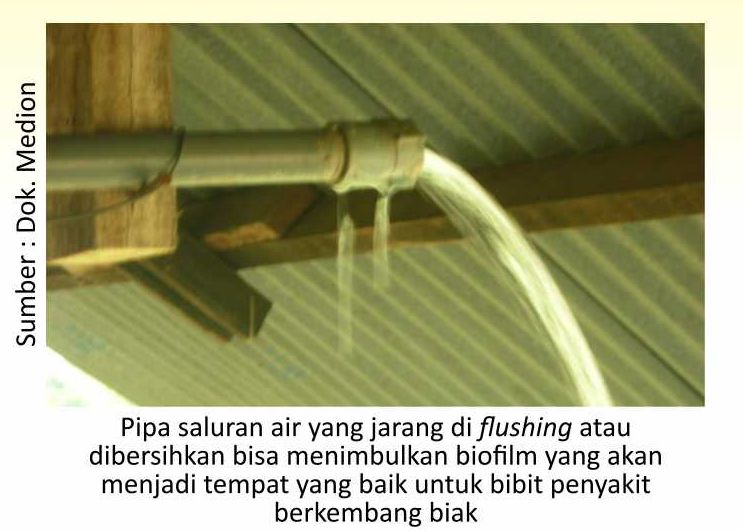 Agar Brooding Nyaman di Musim Hujan 1 SUP02