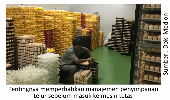 Mengenal Mesin Tetas dan Keunggulannya 4 SUP04 1 2
