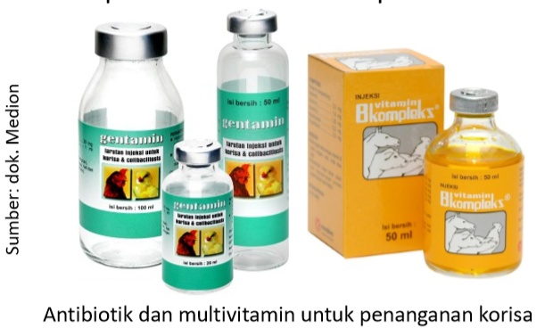Penurunan Produksi Telur Akibat Korisa 1 Screenshot 26