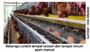 Tips Memilih Tempat Ransum dan Air Minum 3 beberapa contoh tempat ransum dan tempat minum ayam manual 300x173 1