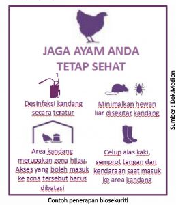 Optimalisasi Manajemen Pemeliharaan di Era Non AGP 1 contoh penerapan biosekuriti 258x300 1