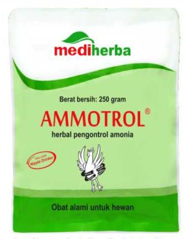 Info Medion 21 cover-KT02-1