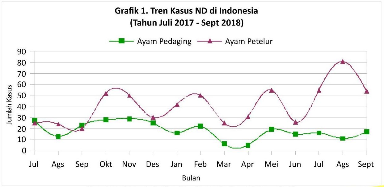 Info Medion 28 feature-image-3-1