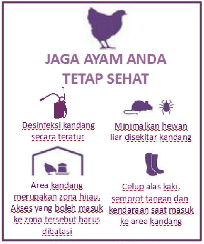 Info Medion 21 feature-image-4-1