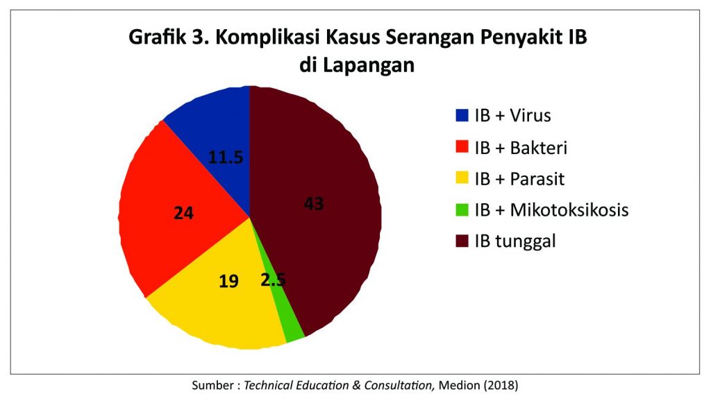 Dampak Serangan Penyakit IB di Ayam Petelur 5 grafik 3. komplikasi kasus serangan penyakit IB di lapangan 1 1024x571 1