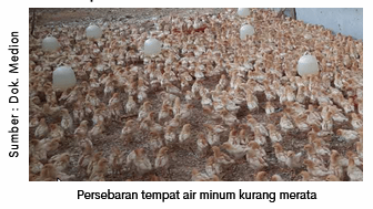 Taati Aturan Pakai untuk Kerja Obat Optimal 2 image 12 1