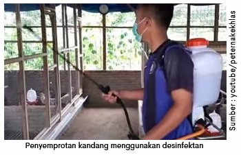Menangani Penyakit Korep Agar Tidak Berulang 1 image 13 1