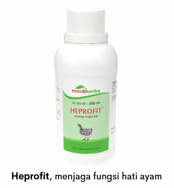 Hati Sehat, Performa Optimal 15 image 14