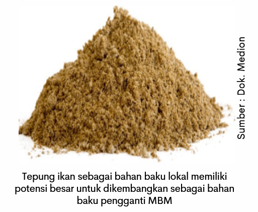 Mengoptimalkan Penggunaan Bahan Baku Alternatif (Part 2) 1 image 16