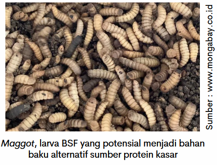 Mengoptimalkan Penggunaan Bahan Baku Alternatif (Part 2) 2 image 17