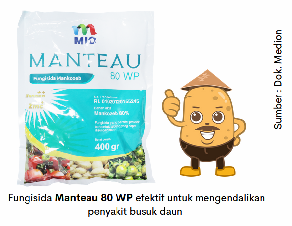 Melindungi Tanaman Kentang dari Penyakit Busuk Daun 9 image 24
